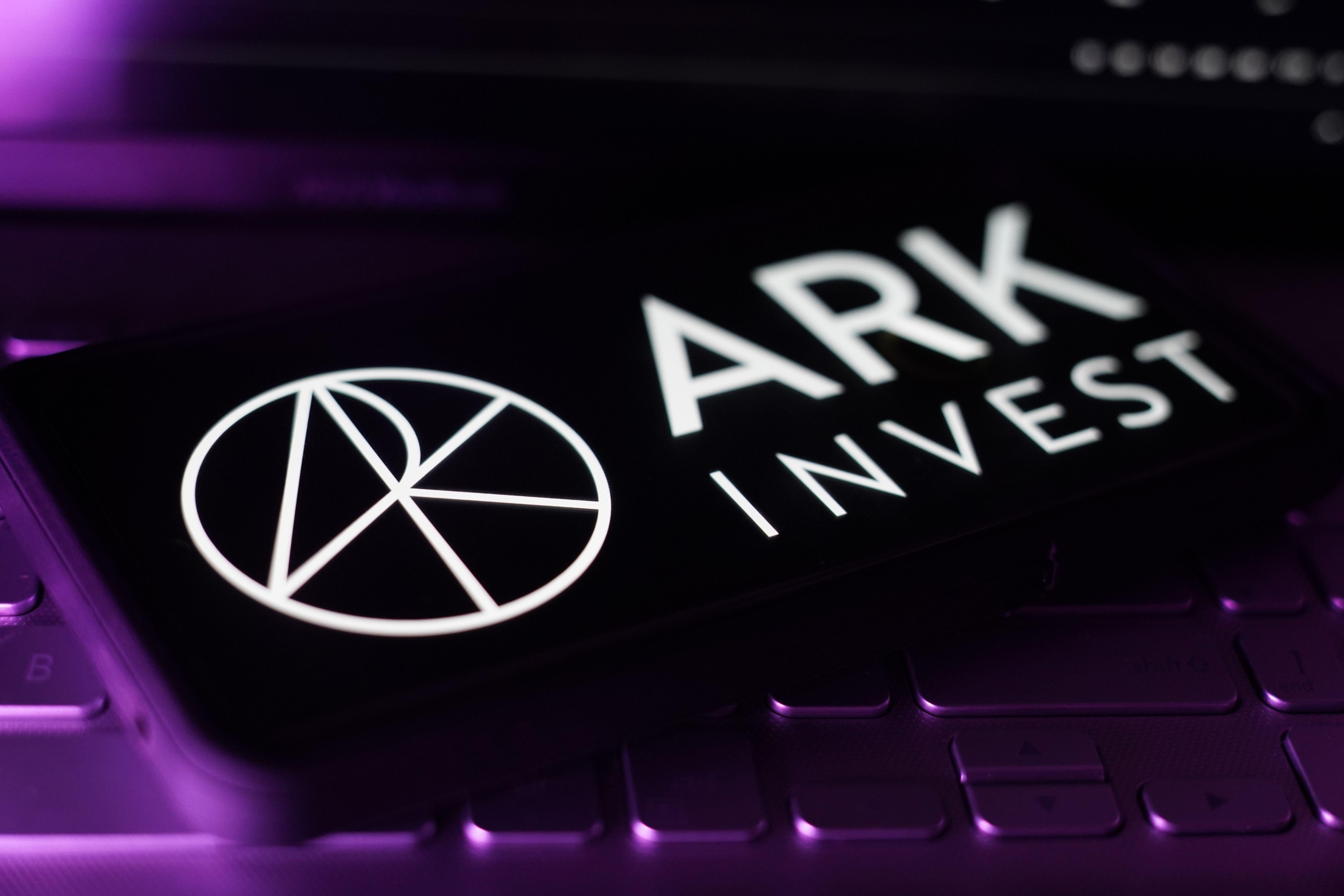 ARK Invest Seizes Buying Opportunity Amid Market Downturn, .7 Million Flows Into BitMine Stock, Bullish Outlook Ahead.